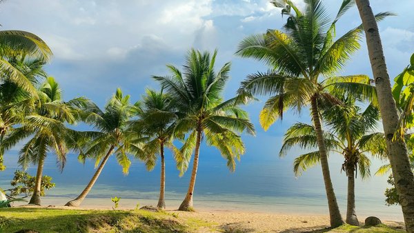 Comment organiser un camping pour une expédition de randonnée en forêt tropicale?