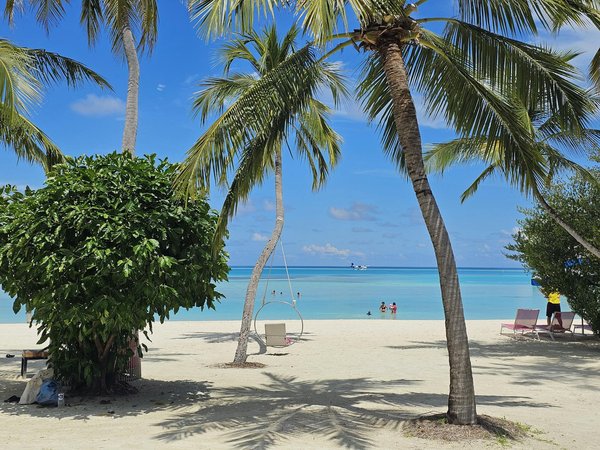 Comment organiser une expédition de kayak sur le lac Baïkal en Russie?