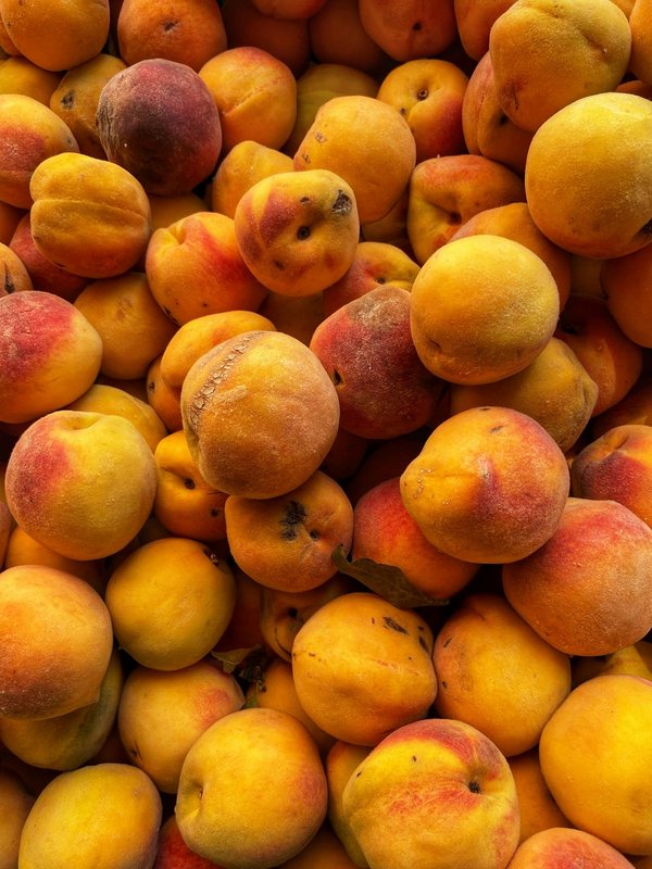 Où apprendre les techniques de la pêche traditionnelle en Norvège : villages et équipements recommandés ?